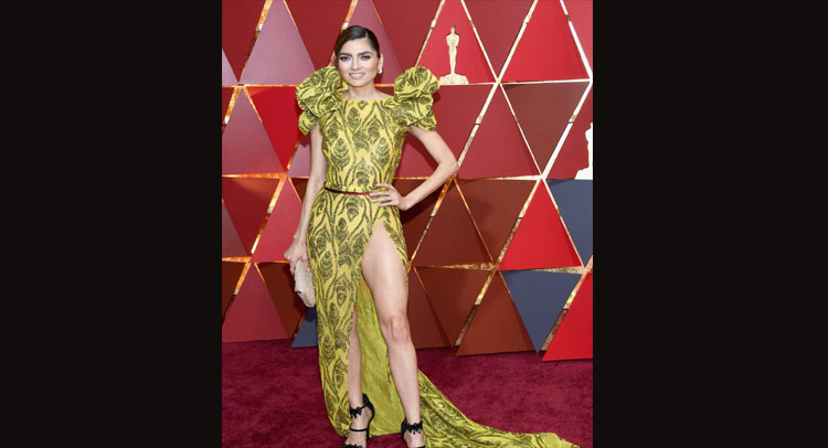 Pics: Oscars 2017 के रेड कार्पेट पर इस अंदाज में दिखे सितारे Pics: Oscars 2017 के रेड कार्पेट पर इस अंदाज में दिखे सितारे