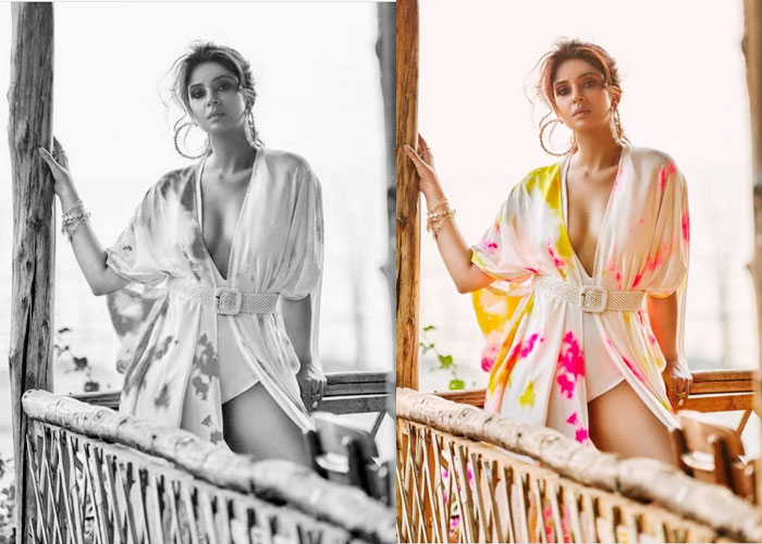 सोशल मीडिया पर छाया जेनिफर विंगेट का हॉट लुक, देखें तस्वीरें सोशल मीडिया पर छाया जेनिफर विंगेट का हॉट लुक, देखें तस्वीरें