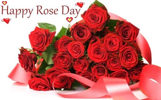#VALENTINEDAY: गुलाब की खुशबू के साथ , प्यार की दास्तां #VALENTINEDAY: गुलाब की खुशबू के साथ , प्यार की दास्तां