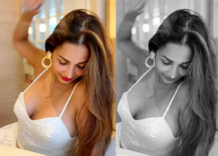 मलाइका अरोड़ा की इन तस्वीरों ने जीता फैंस का दिल, देखिए उनकी कुछ खूबसूरत तस्वीरें मलाइका अरोड़ा की इन तस्वीरों ने जीता फैंस का दिल, देखिए उनकी कुछ खूबसूरत तस्वीरें