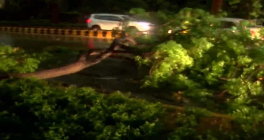 Delhi Rain: दिल्ली-NCR में सुबह-सुबह बारिश ने दी गर्मी से राहत, तेज आंधी के चलते कई जगह गिरे पेड़ Delhi Rain: दिल्ली-NCR में सुबह-सुबह बारिश ने दी गर्मी से राहत, तेज आंधी के चलते कई जगह गिरे पेड़