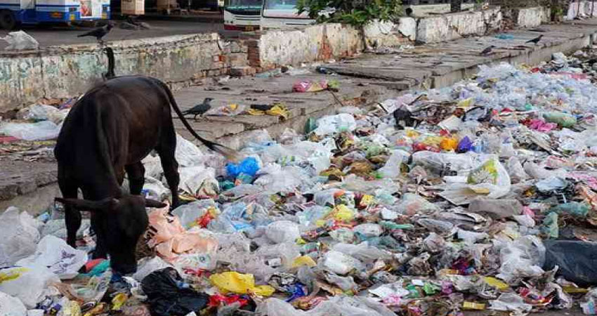 कूड़े के ढेर से बेहाल उत्तरी दिल्लीः डीजल न होने से नहीं उठ रहा कूड़ा, लोग परेशान कूड़े के ढेर से बेहाल उत्तरी दिल्लीः डीजल न होने से नहीं उठ रहा कूड़ा, लोग परेशान