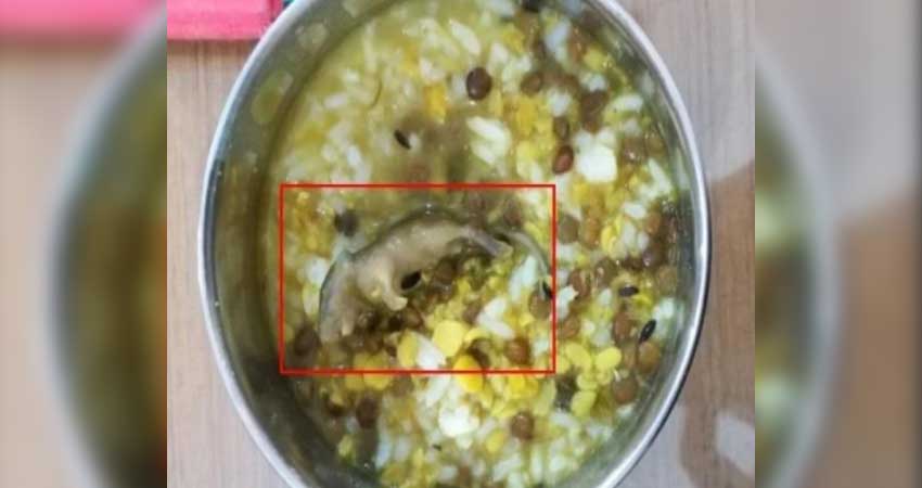 उत्तर प्रदेश: मिड-डे मील में मिला मरा चूहा, 9 छात्रों की हालत गंभीर उत्तर प्रदेश: मिड-डे मील में मिला मरा चूहा, 9 छात्रों की हालत गंभीर