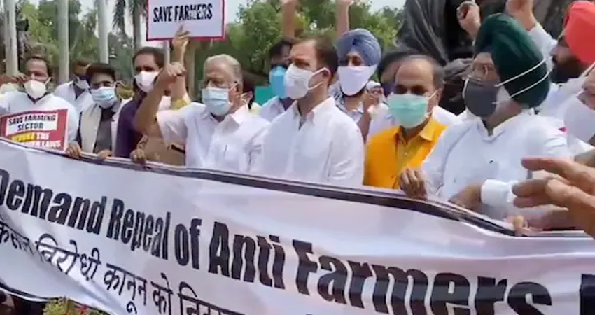 कृषि कानूनों के खिलाफ कांग्रेस सांसदों का संसद भवन परिसर में प्रदर्शन, कई सदस्यों ने लिया हिस्सा कृषि कानूनों के खिलाफ कांग्रेस सांसदों का संसद भवन परिसर में प्रदर्शन, कई सदस्यों ने लिया हिस्सा