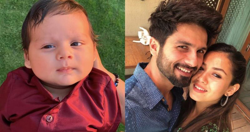 क्या सच में शाहिद से तैमूर की नैनी को अपने बेटे जैन के लिए किया है हायर! क्या सच में शाहिद से तैमूर की नैनी को अपने बेटे जैन के लिए किया है हायर!