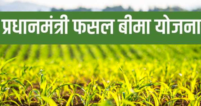 प्रधानमंत्री फसल बीमा योजना के पांच साल प्रधानमंत्री फसल बीमा योजना के पांच साल