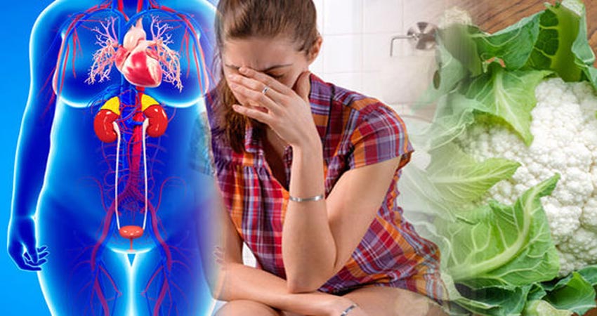 यूरिन इंफेक्शन में मिलेगी राहत, करें इन ड्रिंक्स का सेवन यूरिन इंफेक्शन में मिलेगी राहत, करें इन ड्रिंक्स का सेवन
