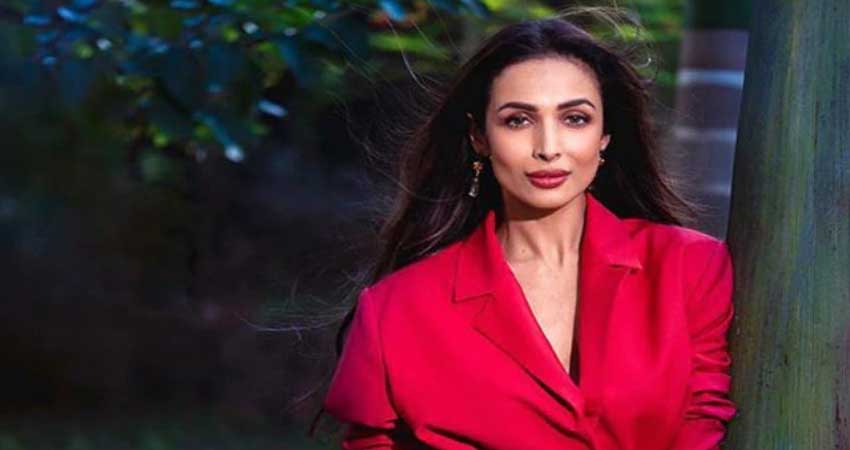 मलाइका अरोड़ा ने Topless तस्वीर शेयर कर लगाई सोशल मीडिया पर आग मलाइका अरोड़ा ने Topless तस्वीर शेयर कर लगाई सोशल मीडिया पर आग