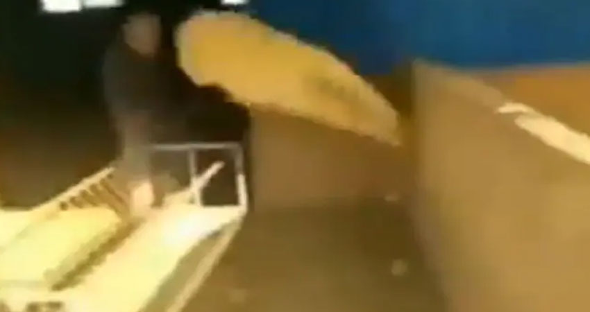 कुंग फू स्टाइल में लात मारकर सोशल मीडिया पर इस बकरे ने बटोरी सुर्खियां, देखें Viral Video कुंग फू स्टाइल में लात मारकर सोशल मीडिया पर इस बकरे ने बटोरी सुर्खियां, देखें Viral Video