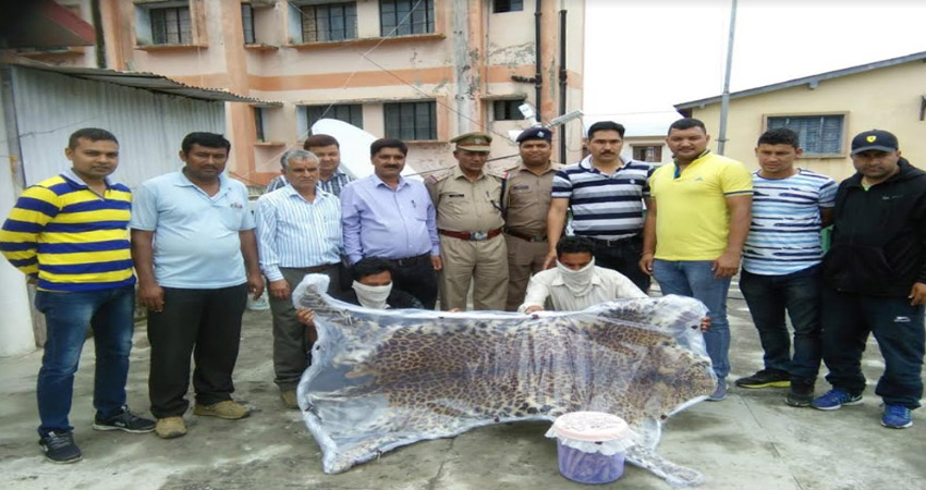 गुलदार की पांच खालों के साथ ITBP के जवान समेत दो गिरफ्तार, एक फरार गुलदार की पांच खालों के साथ ITBP के जवान समेत दो गिरफ्तार, एक फरार