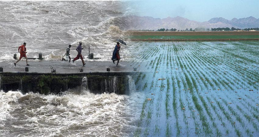 बाढ़, बारिश से अब तक 1,400 लोगों की जान ले चुका है मानसूनी सीजन बाढ़, बारिश से अब तक 1,400 लोगों की जान ले चुका है मानसूनी सीजन