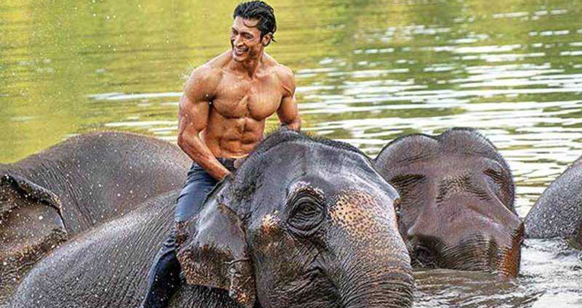 फिल्म ''जंगली'' का पहला गाना हुआ रिलीज, जुबिन की आवाज ने फिर जीता दिल फिल्म ''जंगली'' का पहला गाना हुआ रिलीज, जुबिन की आवाज ने फिर जीता दिल