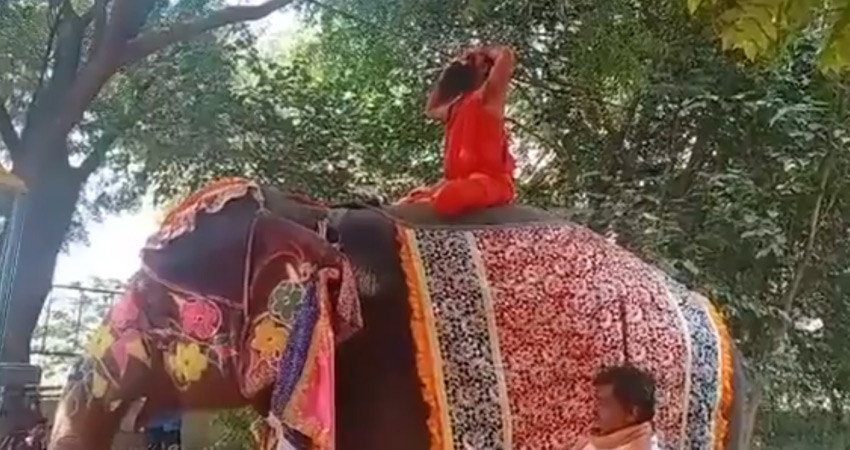 योगगुरु रामदेव ने फिर की हाथी की सवारी, लेकिन इस बार बरती पूरी सावधानी योगगुरु रामदेव ने फिर की हाथी की सवारी, लेकिन इस बार बरती पूरी सावधानी