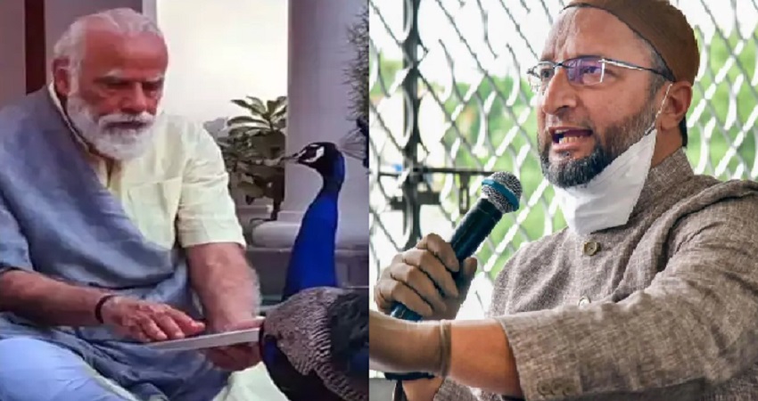 चीन से बातचीत पर भारत का बयान ना आने पर ओवैसी ने कहा- क्या PM मोर के साथ खेलने में बिजी हैं? चीन से बातचीत पर भारत का बयान ना आने पर ओवैसी ने कहा- क्या PM मोर के साथ खेलने में बिजी हैं?