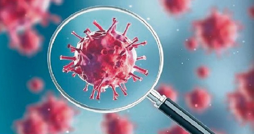 राजस्थान में कोरोना के 80 नए पॉजिटिव मामलों की पुष्टि, संक्रमितों की संख्या बढ़कर 1431 हुई राजस्थान में कोरोना के 80 नए पॉजिटिव मामलों की पुष्टि, संक्रमितों की संख्या बढ़कर 1431 हुई