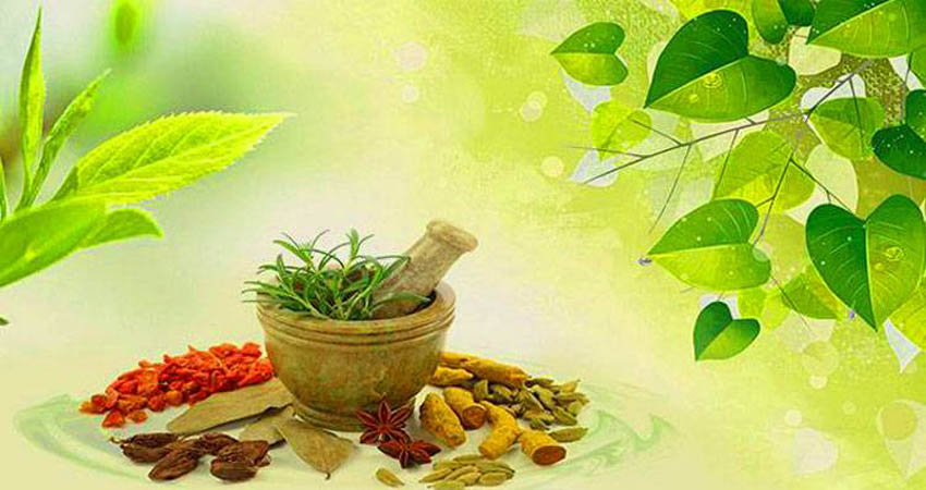 आयुर्वेद के माध्यम से करोना से लडऩे के उपाय बताए आयुर्वेद के माध्यम से करोना से लडऩे के उपाय बताए