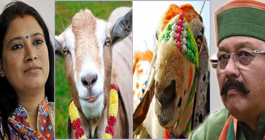 उत्तराखंड : स्वयंवर बकरियों का, आपस में भिड़ गए मंत्री उत्तराखंड : स्वयंवर बकरियों का, आपस में भिड़ गए मंत्री