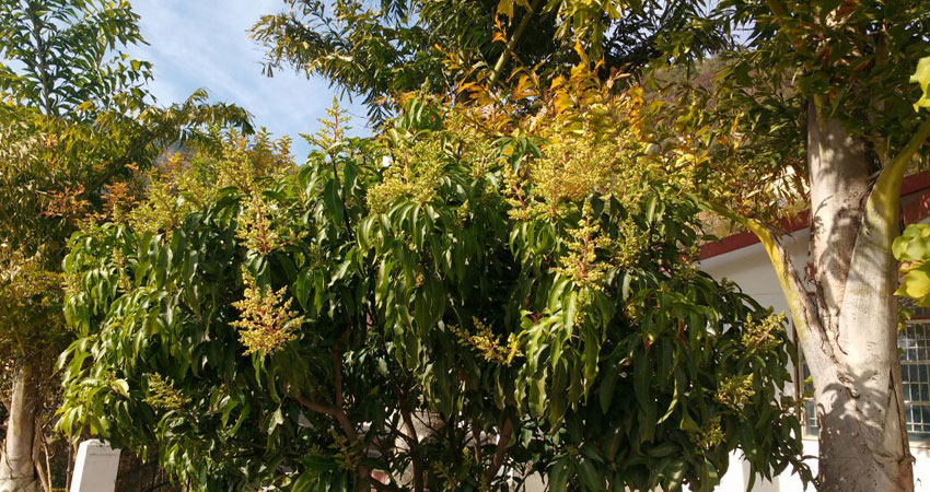 दिल्ली में बनेगी वर्ल्ड क्लास नर्सरी दिल्ली में बनेगी वर्ल्ड क्लास नर्सरी