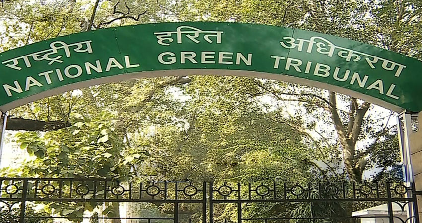 एनजीटी ने पटाखों की बिक्री, इस्तेमाल पर पूर्ण रोक लगाने का दिया निर्देश एनजीटी ने पटाखों की बिक्री, इस्तेमाल पर पूर्ण रोक लगाने का दिया निर्देश