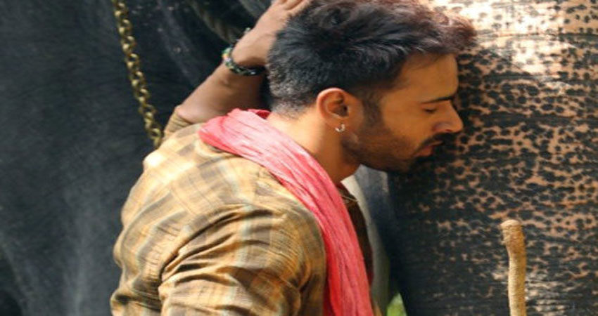 फ़िल्म ''हाथी मेरे साथी'' से दूसरा लुभावना गीत ''धीमे धीमे'' हुआ रिलीज़! फ़िल्म ''हाथी मेरे साथी'' से दूसरा लुभावना गीत ''धीमे धीमे'' हुआ रिलीज़!