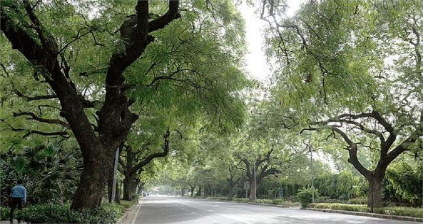 ट्री अथॉरिटी ने की सिर्फ 3 बैठक और 8 मुलाकात, करनी थी 104 ट्री अथॉरिटी ने की सिर्फ 3 बैठक और 8 मुलाकात, करनी थी 104