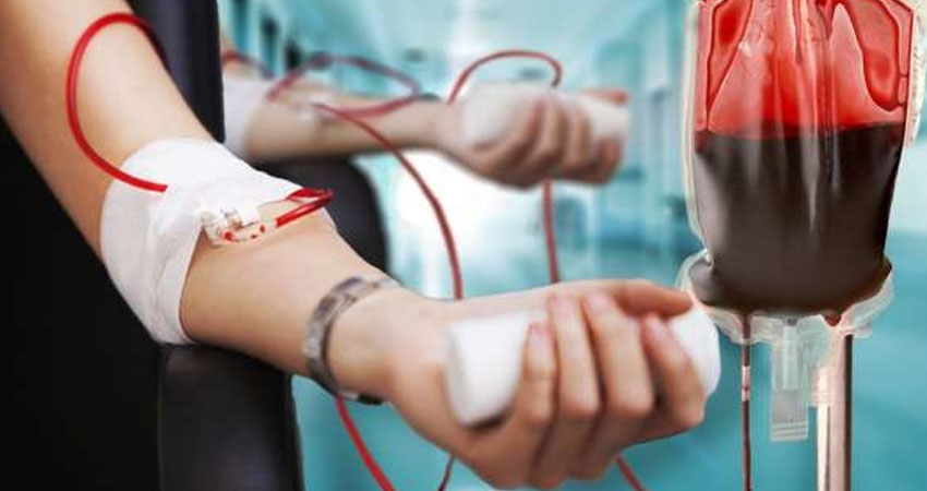 World blood donation day: ये है भारत की एक ऐसी जोड़ी जिसनें बनाया रक्तदान का लिम्का बुक ऑफ रिकॉर्ड World blood donation day: ये है भारत की एक ऐसी जोड़ी जिसनें बनाया रक्तदान का लिम्का बुक ऑफ रिकॉर्ड