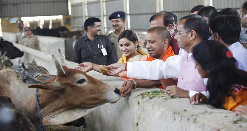 योगी सरकार का ऐलान, यूपी की जेलों में बनेंगी गौशालाएं योगी सरकार का ऐलान, यूपी की जेलों में बनेंगी गौशालाएं